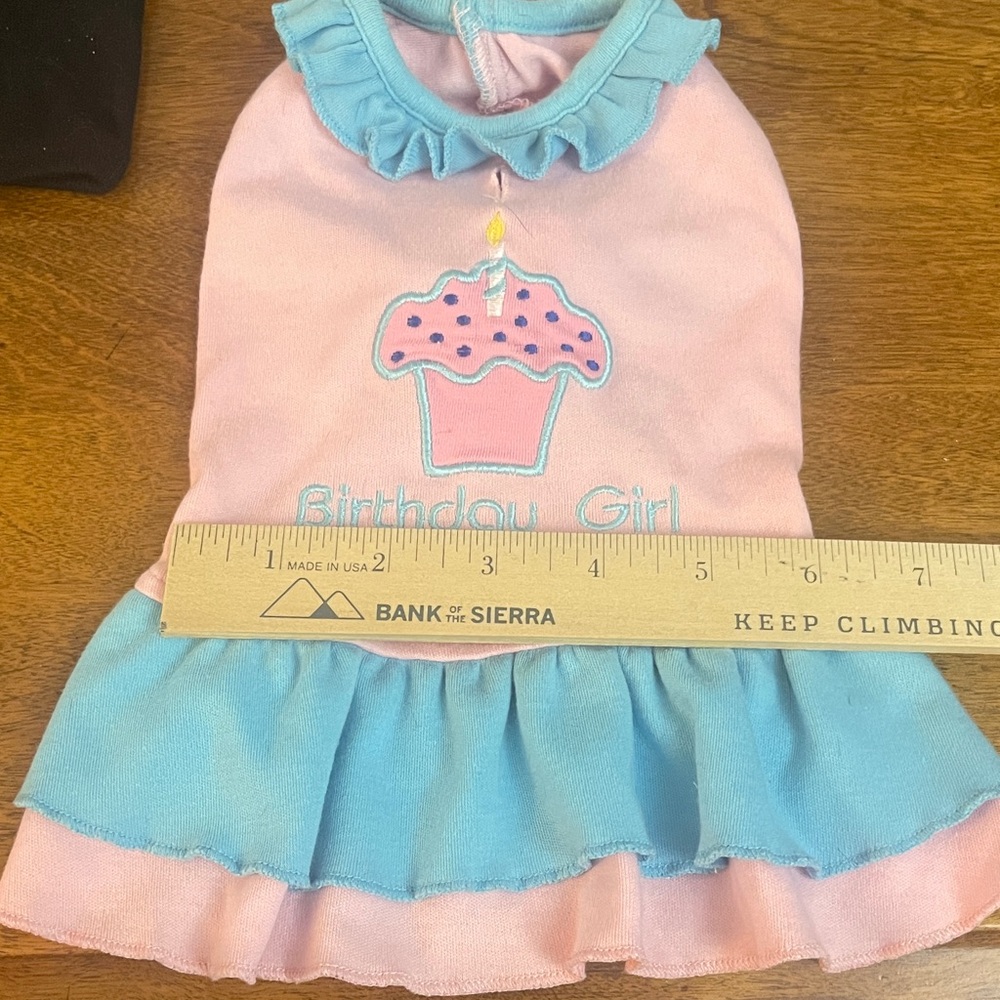 Pink and Blue Birthday Girl Dog Dress